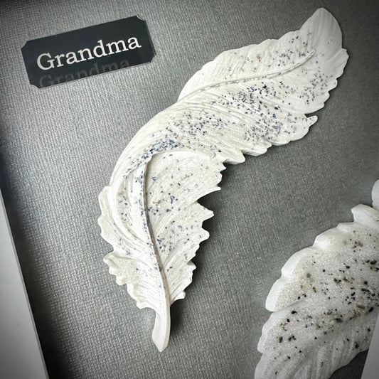 Framed Memorial Ashes Double Feather