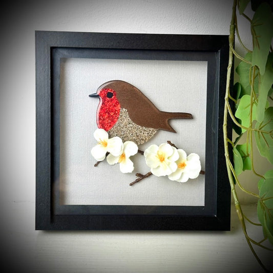 Framed Memorial Ashes / Hair Robin