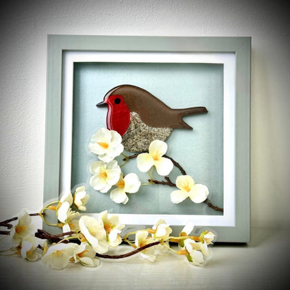 Framed Memorial Ashes / Hair Robin