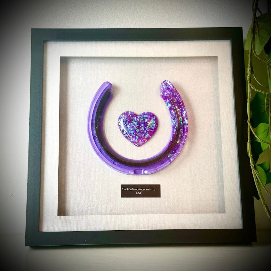 Framed Memorial Ashes / Hair Horseshoe