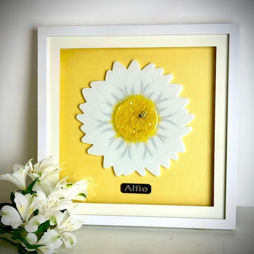 Framed Memorial Ashes/Hair Daisy
