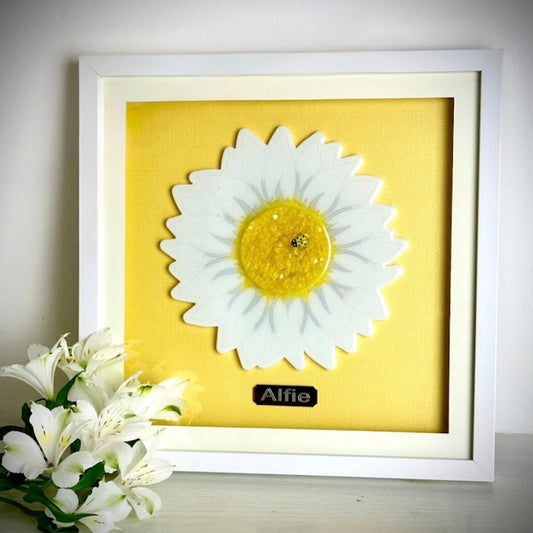 Framed Memorial Ashes/Hair Daisy