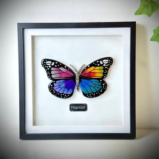Framed Memorial Ashes / Hair Large Butterfly