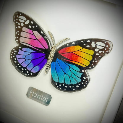 Framed Memorial Ashes / Hair Large Butterfly