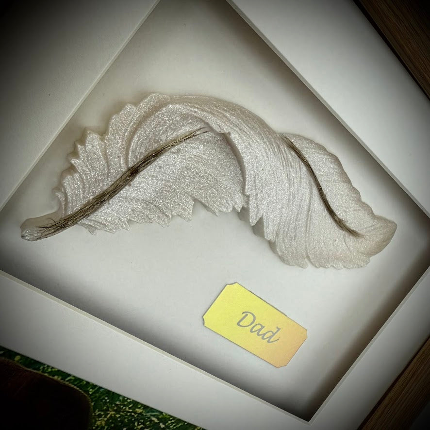 Photo Framed Memorial Ashes/Hair Feather