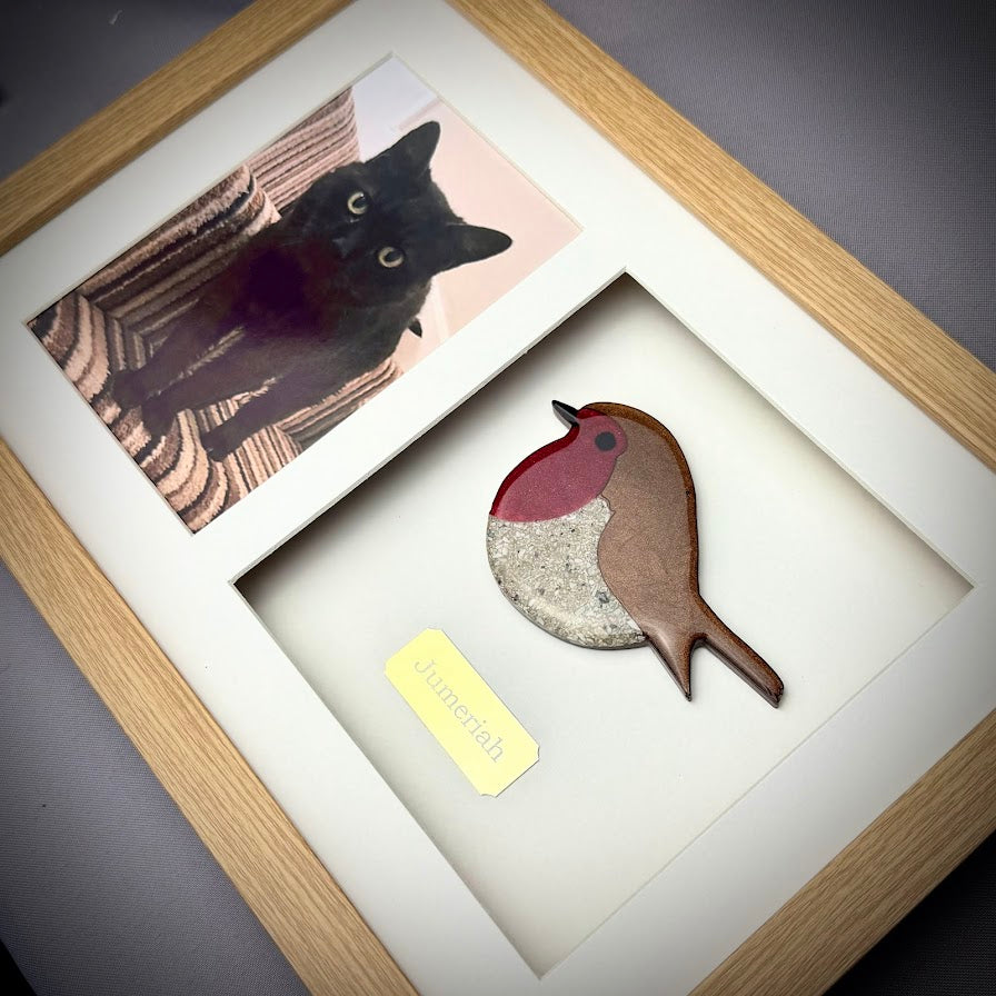 Photo Framed Memorial Ashes/Hair Robin