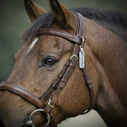 Engraved Stainless Safety ID Tag